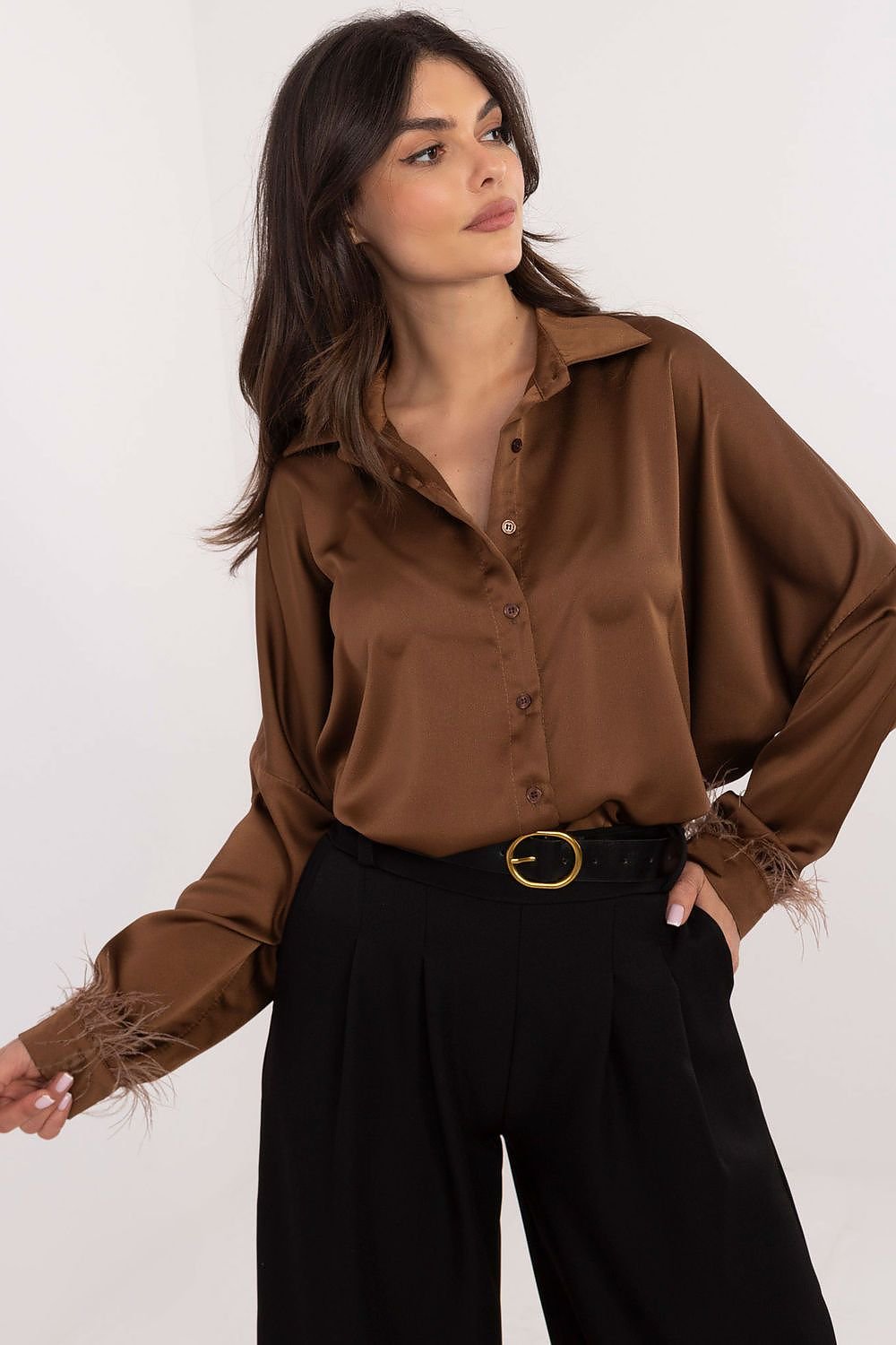 An elegant women's shirt with a classic cut with long sleeve